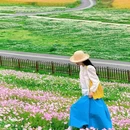 木星一号城市滑翔伞飞行营地 - 成都市旅游 缩略图 1
