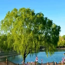 北京朝阳大悦城 - 北京市旅游 缩略图 5