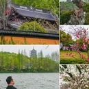 杭州西湖 - 杭州市旅游 缩略图 5