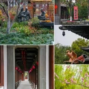 杭州西湖 - 杭州市旅游 缩略图 3