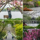 杭州西湖 - 杭州市旅游 缩略图 7