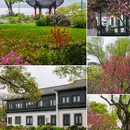 杭州西湖 - 杭州市旅游 缩略图 8