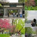 杭州西湖 - 杭州市旅游 缩略图 9