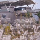 青岛·庙石 - 青岛市旅游 缩略图 4