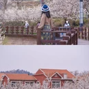 青岛·庙石 - 青岛市旅游 缩略图 2
