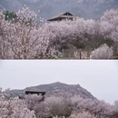 青岛·庙石 - 青岛市旅游 缩略图 5