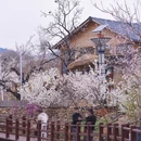 青岛·庙石 - 青岛市旅游 缩略图 8