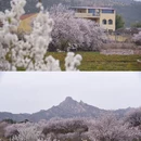 青岛·庙石 - 青岛市旅游 缩略图 7