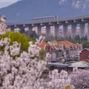 青岛·庙石 - 青岛市旅游 缩略图 3
