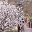 青岛·庙石 - 青岛市旅游 缩略图 6