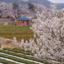 青岛·庙石 - 青岛市旅游 缩略图 9