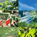 东山山体公园-观音殿 - 贵阳市旅游 缩略图 8