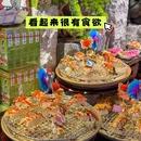 上海大观园 - 上海市旅游 缩略图 3