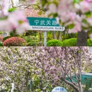 八大关景区 - 青岛市旅游 缩略图 5
