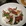 成都市·璞Pure·Bistro
