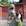 洛阳市·洛阳白马寺