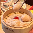 点都德 - 深圳市旅游 缩略图 6