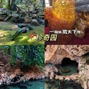 芒市镇 - 德宏傣族景颇族自治州旅游 缩略图 7