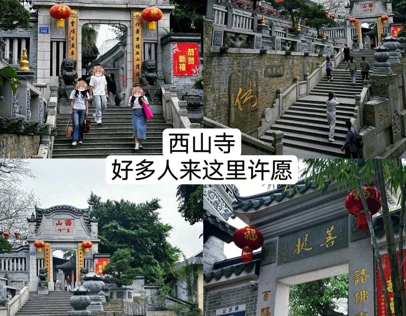 八方食岐鸽 - 中山市旅游 1