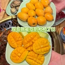 成都市植物园 - 成都市旅游 缩略图 2