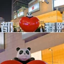 春熙路太古里步行街 - 成都市旅游 缩略图 5