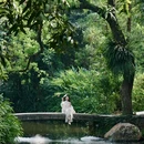 腊圃公园 - 广州市旅游 缩略图 4
