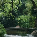 腊圃公园 - 广州市旅游 缩略图 2