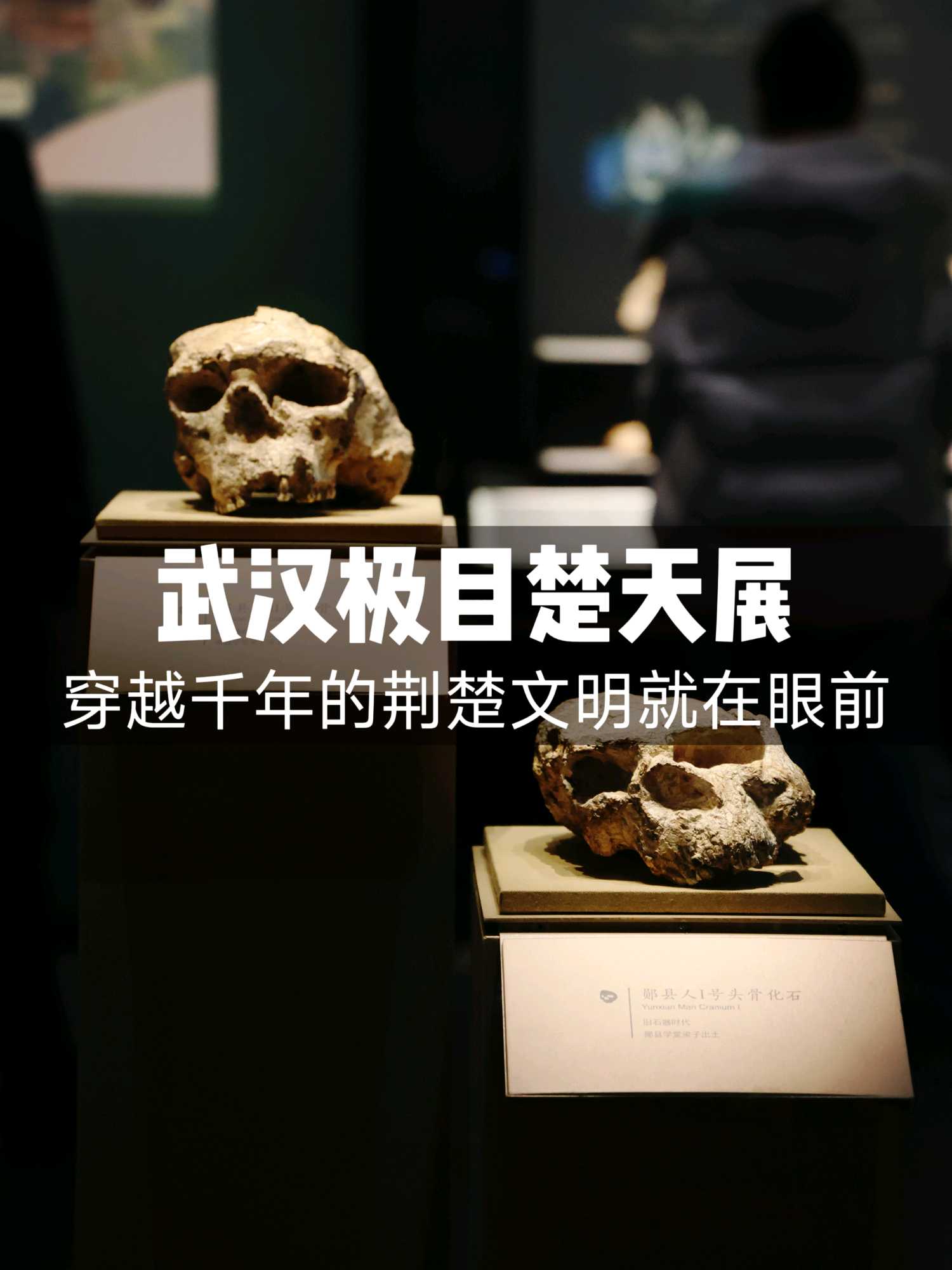 湖北省博物馆 - 武汉市旅游