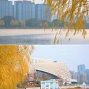 金沙湖沙滩 - 杭州市旅游 缩略图 2