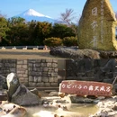 静冈县 - 日本旅游 缩略图 4