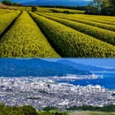 静冈县 - 日本旅游 缩略图 9