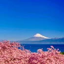 静冈县 - 日本旅游 缩略图 7