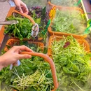 王奋斗贵州酸汤牛肉火锅(海口友谊阳光城店) - 海口市旅游 缩略图 4