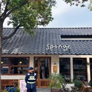Sponge 绵 - 扬州市旅游 缩略图 1