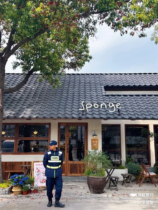 Sponge 绵 - 扬州市旅游