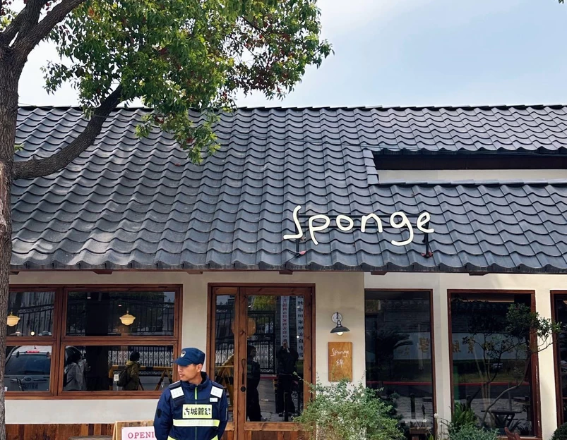 Sponge 绵 - 扬州市旅游 1