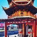 龙华寺 - 上海市旅游 缩略图 6