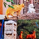 龙华寺 - 上海市旅游 缩略图 8