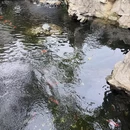 寒山寺 - 苏州旅游 缩略图 7