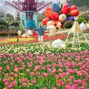 徐州乐园 - 徐州市旅游 缩略图 6