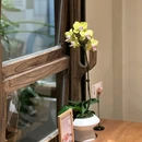 珠珑入水·手作糖水(北山店) - 珠海市旅游 缩略图 9