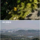 中国茶叶博物馆(龙井馆区) - 杭州市旅游 缩略图 7