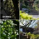 中国茶叶博物馆(龙井馆区) - 杭州市旅游 缩略图 9