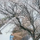 云龟山景区 - 重庆市旅游 缩略图 1