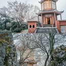 云龟山景区 - 重庆市旅游 缩略图 6
