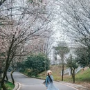云龟山景区 - 重庆市旅游 缩略图 8
