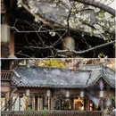 中国院子·梦溪苑 - 杭州市旅游 缩略图 3