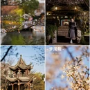 中国院子·梦溪苑 - 杭州市旅游 缩略图 8