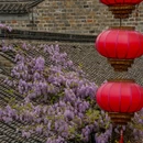 老门东-三条营 - 南京市旅游 缩略图 8