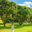 中山公园 - 深圳市旅游 缩略图 7
